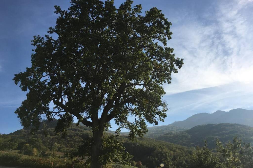 Casa A Montebello Di Bertona Con Vista Gran Sasso Villa Exterior foto
