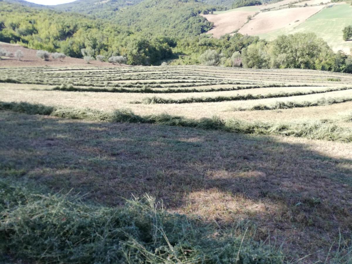 Casa A Montebello Di Bertona Con Vista Gran Sasso Villa Exterior foto