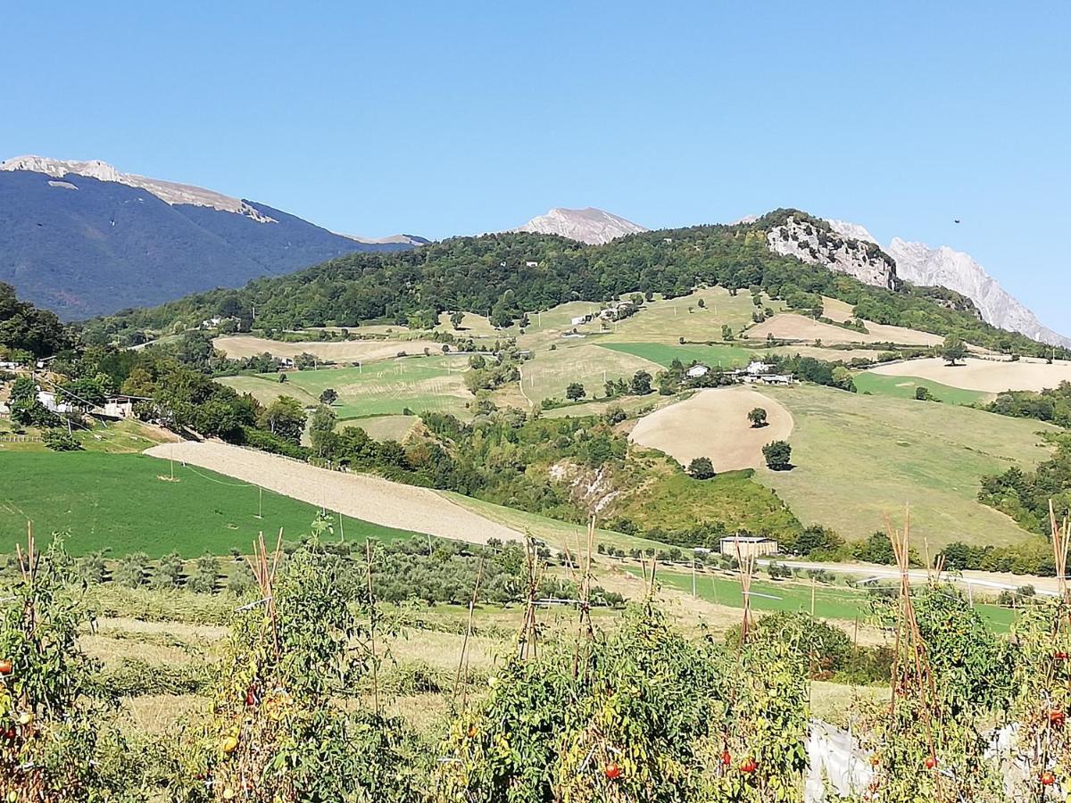 Casa A Montebello Di Bertona Con Vista Gran Sasso Villa Exterior foto