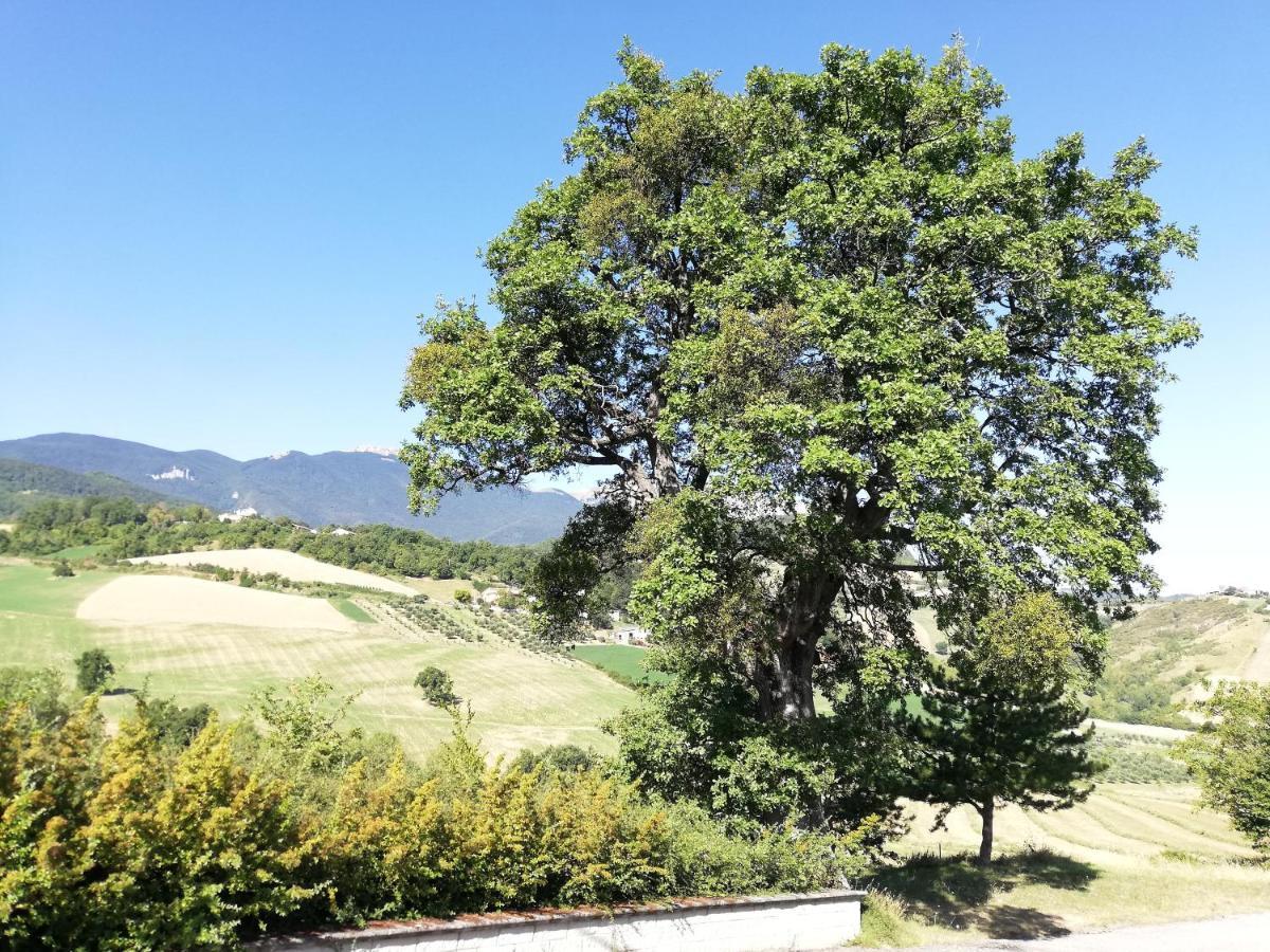 Casa A Montebello Di Bertona Con Vista Gran Sasso Villa Exterior foto
